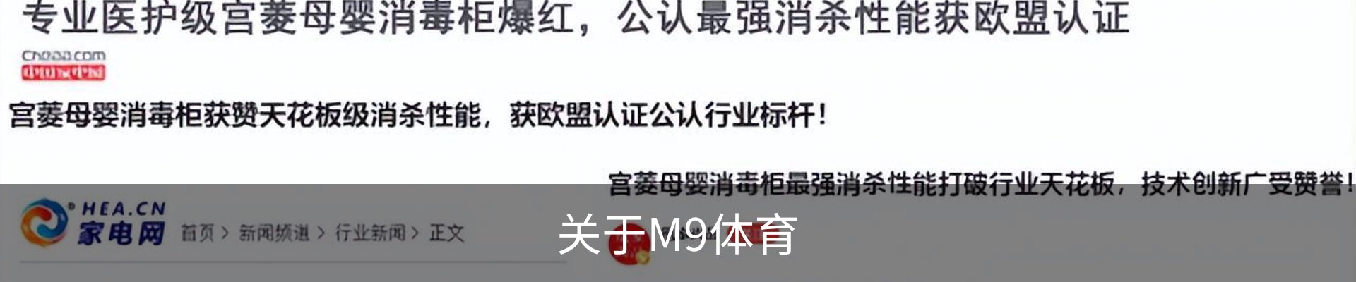 关于M9体育